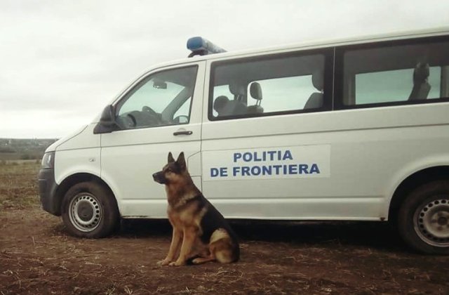 Peste 500.000 de lei au fost gasiti in curtea unor contrabandisti de tigari din Constanta