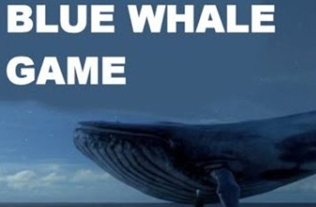 DIICOT a clasat dosarul `Balena Albastra`. Elevii care s-au sinucis nu erau implicati in acest joc