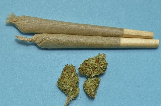 Politistii germani propun legalizarea consumului de marijuana