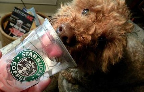  Top  Cele mai ciudate dependente din lume!