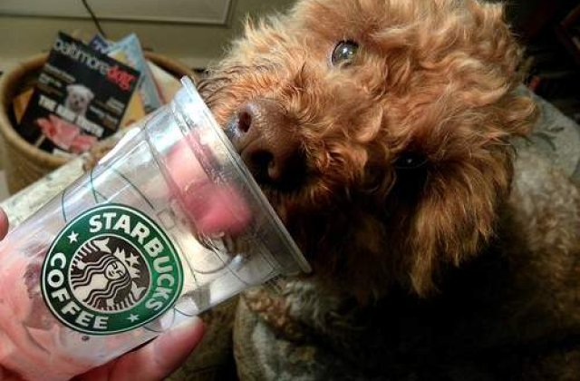 Cele mai ciudate dependente din lume!