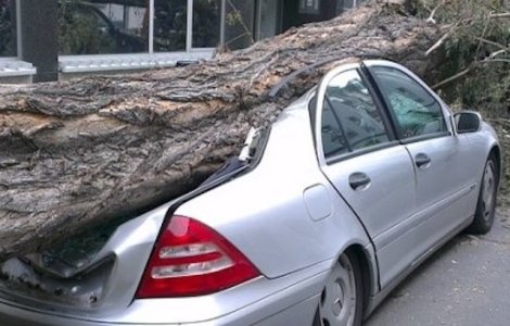 Un roman a murit in Malta dupa ce un copac a cazut pe masina sa, in timpul unei furtuni