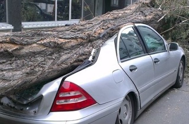 Un roman a murit in Malta dupa ce un copac a cazut pe masina sa, in timpul unei furtuni