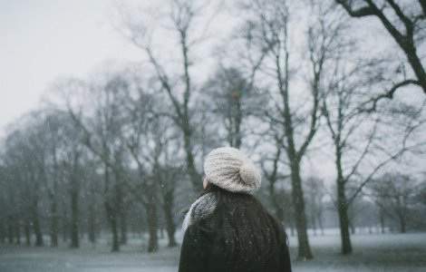 Ninsori si vant puternic in Muntenia si Dobrogea, pana luni dimineata