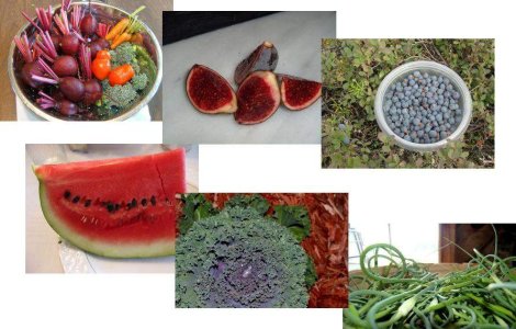  Top  De sezon: 6 legume si fructe taman bune pentru sanatate