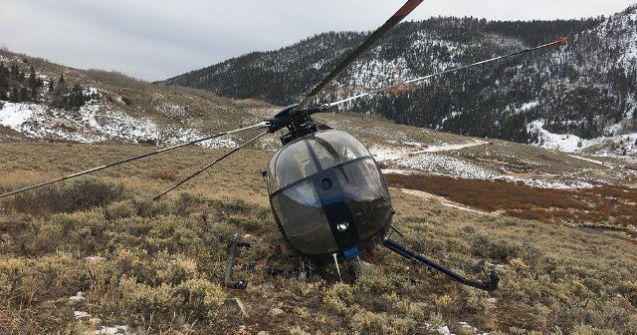 Elicopter prabusit din cauza unui animal, in SUA