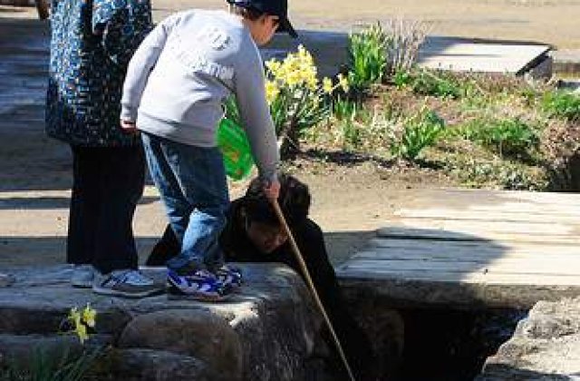 Fukushima: Copiii vor primi aparate pentru masurarea radioactivitatii