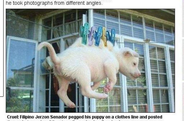 Si-a pus cainele la uscat pe sarma