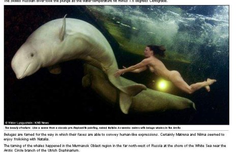 Femeie cercetator imblanzeste balenele, dezbracata in apele Arcticii