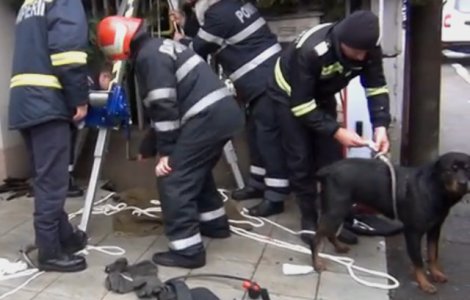 Pompierii din Valcea au salvat o catelusa cazuta intr-o fantana / VIDEO