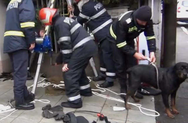 Pompierii din Valcea au salvat o catelusa cazuta intr-o fantana / VIDEO