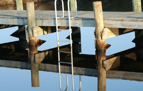  Top  10 fotografii care te vor face sa te indoiesti de ceea ce vezi