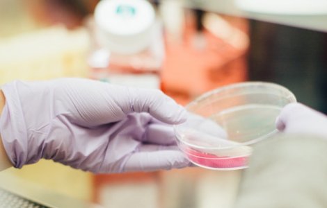 Doi elevi din SUA au fost atacati cu o substanta chimica periculoasa