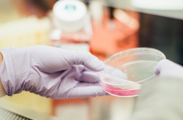 Doi elevi din SUA au fost atacati cu o substanta chimica periculoasa