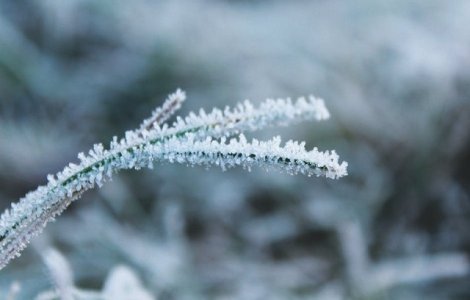 Un barbat a fost gasit inghetat la marginea drumului