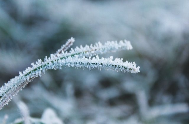 Un barbat a fost gasit inghetat la marginea drumului