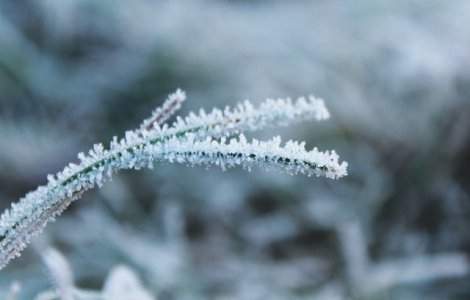 Un barbat a fost gasit inghetat la marginea drumului