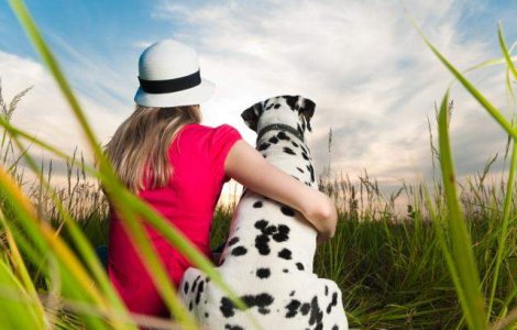 Telepatie canina: Iti poate citi cainele gandurile?