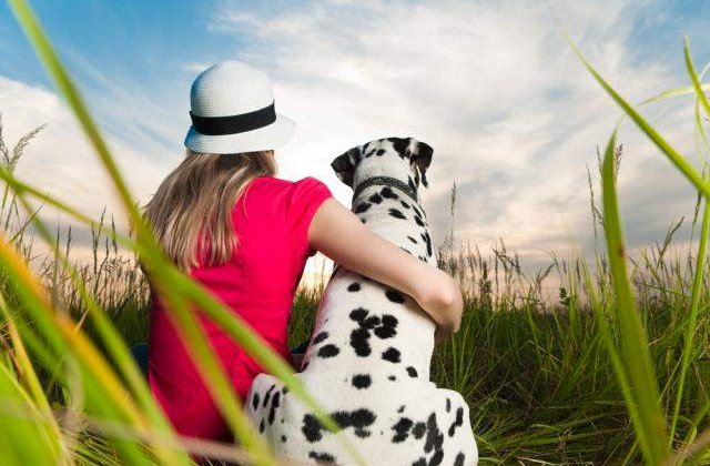 Telepatie canina: Iti poate citi cainele gandurile?