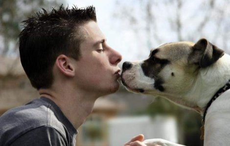 Prima tara din lume care a interzis cainii de companie