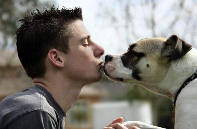 Prima tara din lume care a interzis cainii de companie