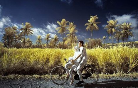 Cine spune primul "te iubesc"?