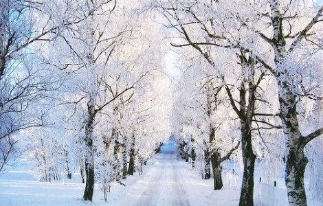 Pamantul s-ar putea indrepta catre o noua era glaciara?