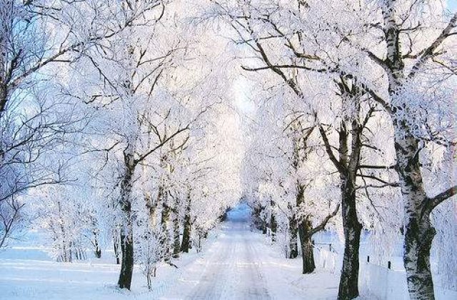 Pamantul s-ar putea indrepta catre o noua era glaciara?