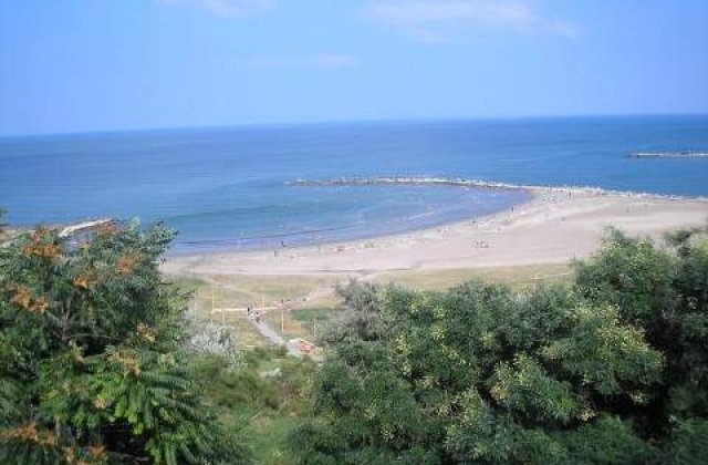 Plajele din nordul litoralului, invadate de alge