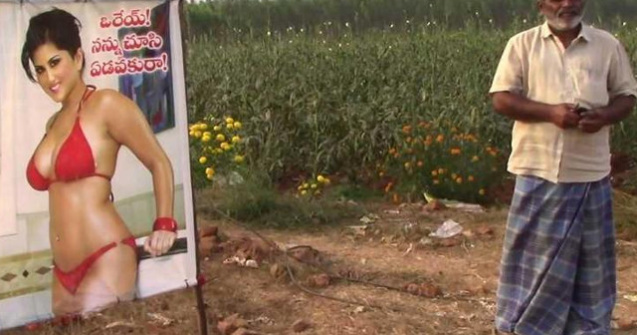 Un fermier si-a protejat recolta cu un poster in care apare o actrita de filme pentru adulti