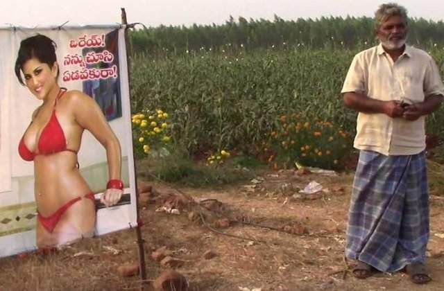 Un fermier si-a protejat recolta cu un poster in care apare o actrita de filme pentru adulti