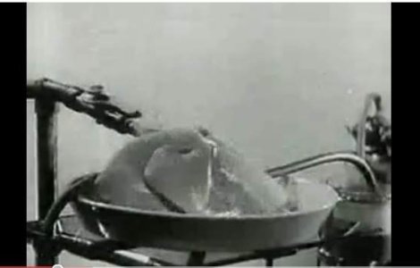  Video  Sovieticii faceau experimente de reinviere pe caini