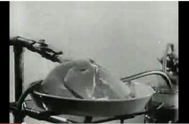 [VIDEO] Sovieticii faceau experimente de reinviere pe caini