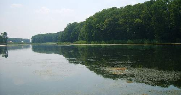 Un rugbist din lotul national de juniori, inecat in Snagov