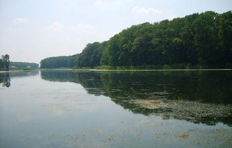 Un rugbist din lotul national de juniori, inecat in Snagov