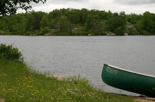 Romania ia aurul la canoe, la Europenele de la Belgrad