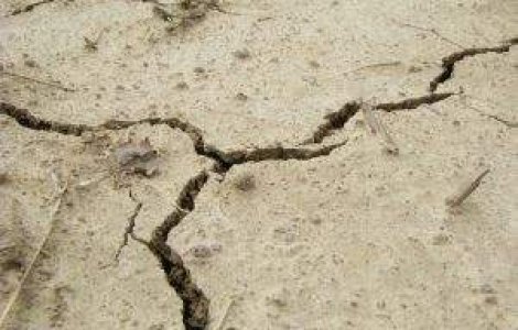 Un cutremur puternic a zguduit Chile