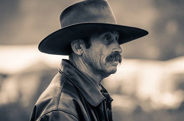 Viorica Dancila: Comunitatea roma are un rol important in istoria poporului roman