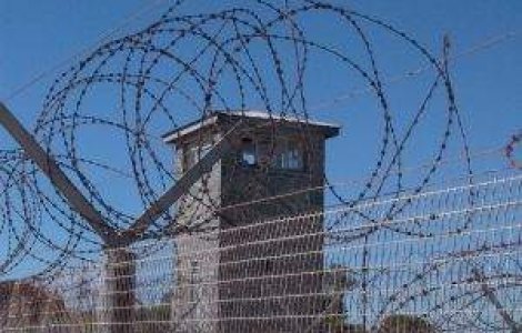 Cine mananca mai bine in Romania: Un maidanez sau un detinut?