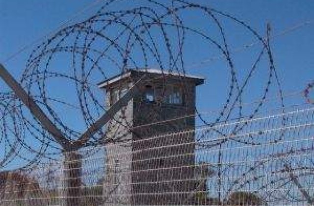 Cine mananca mai bine in Romania: Un maidanez sau un detinut?