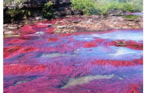  Foto  Cel mai frumos rau din lume