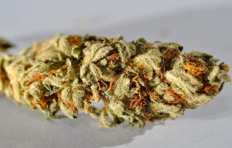 Cum stau romanii la consumul de droguri?