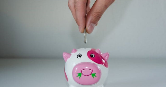 60 de bani pentru cofinantarea unei lucrari, suma alocata suplimentar de Consiliul Local Pitesti