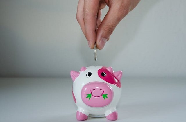 60 de bani pentru cofinantarea unei lucrari, suma alocata suplimentar de Consiliul Local Pitesti