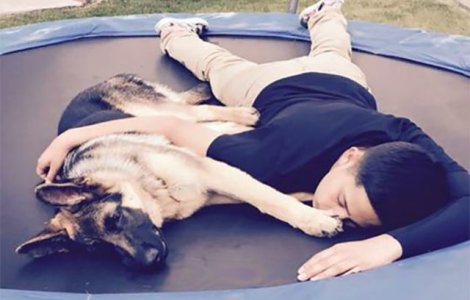 A sarit in fata glontului pentru a-si apara stapanul