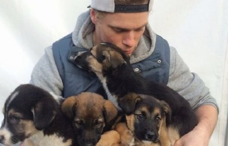 Un schior american a salvat 90 de caini dintr-o ferma din Coreea de Sud, in timp ce participa la JO de Iarna