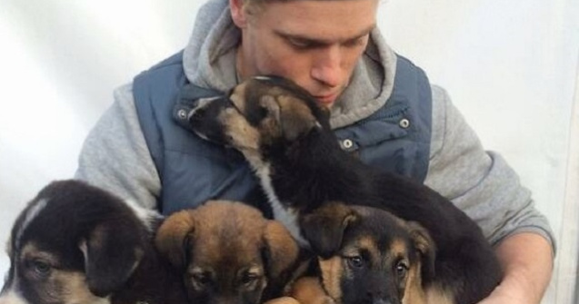 Un schior american a salvat 90 de caini dintr-o ferma din Coreea de Sud, in timp ce participa la JO de Iarna