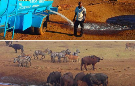  Top  Nu e nevoie de cuvinte! 10 imagini care iti vor incalzi inima