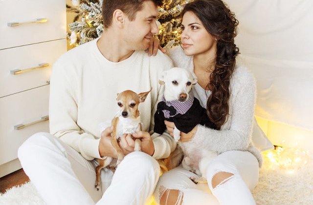 Se poate chiar daca ai un caine! 10 reguli pe care sa le respecti pentru a mentine curatenia