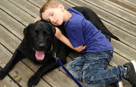  Top  8 motive pentru care orice copil ar trebui sa aiba un animal